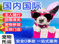 呼和浩特白塔空运公司国际宠物托运 【国